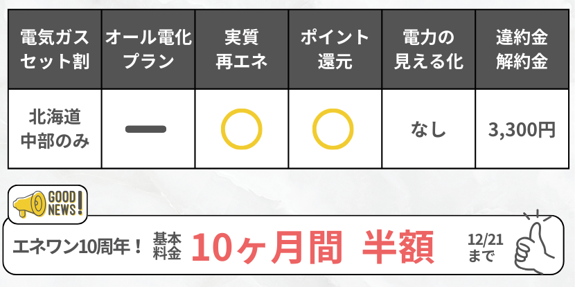 エネワンでんきの特徴ミニキャンペーンあり