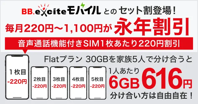 BB.excite光 10Gのスマホセット割