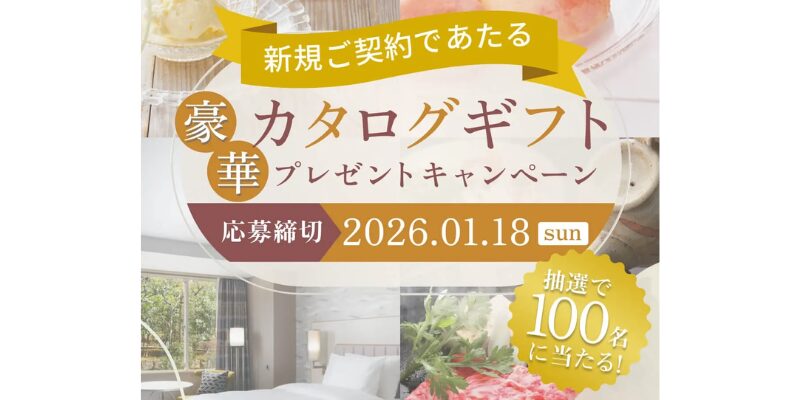 ピュアライフ キャンペーン3