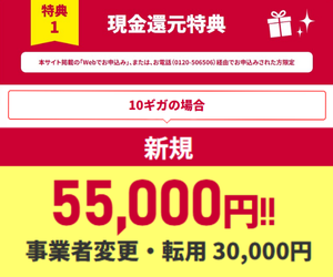 OCNインターネットはドコモ光10ギガ契約で最大55,000円キャッシュバック