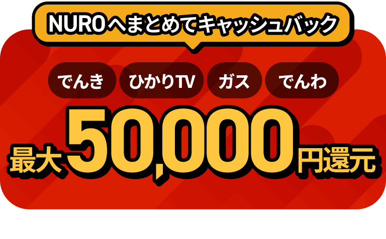 オプション加入で最大50,000円キャッシュバック！光電話・テレビ・電気・ガスの概要・料金