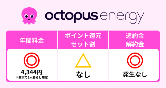 オクトパスエナジーの特徴