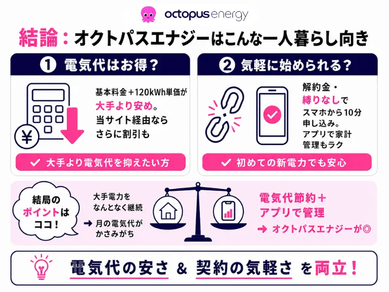 オクトパスエナジーがおすすめな人