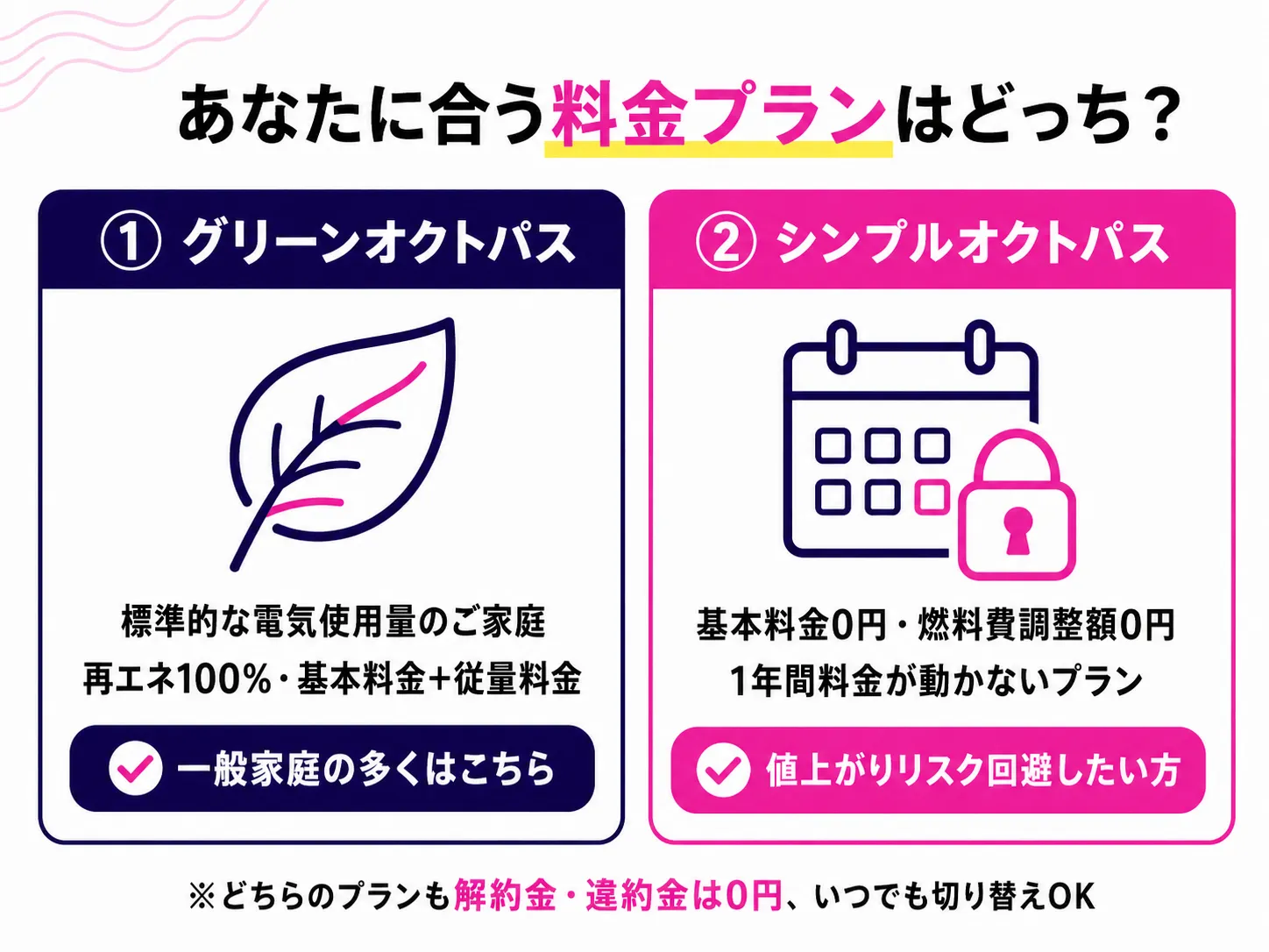 一般家庭向けオクトパスエナジーの料金プラン2種