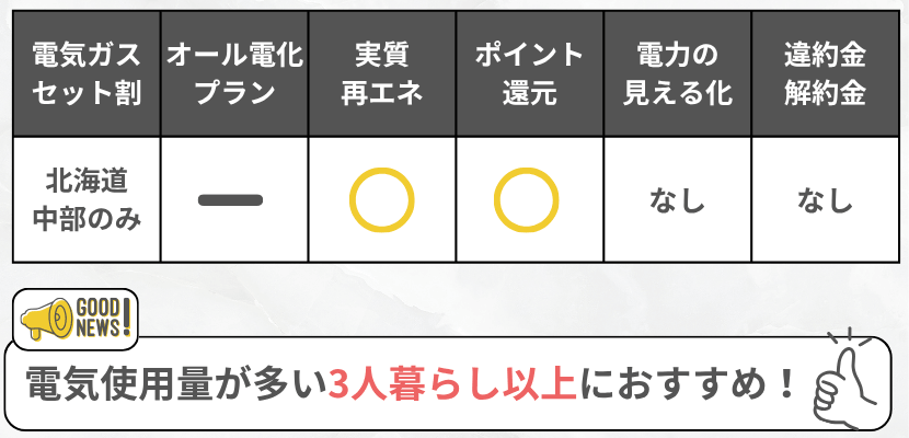 エネワンでんきの特徴ミニ