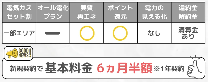 エネワンでんきの特徴ミニ