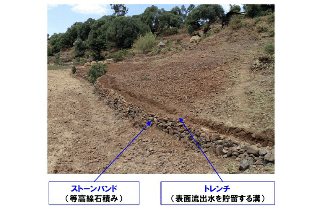 エチオピアの水・土壌保全技術