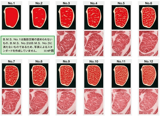 牛枝肉取引規格