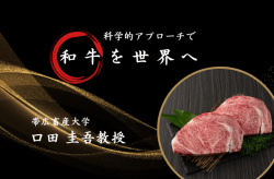 霜降り肉の「おいしさ」を科学的に評価。日本の「和牛」を世界へアピールする壮大な試み