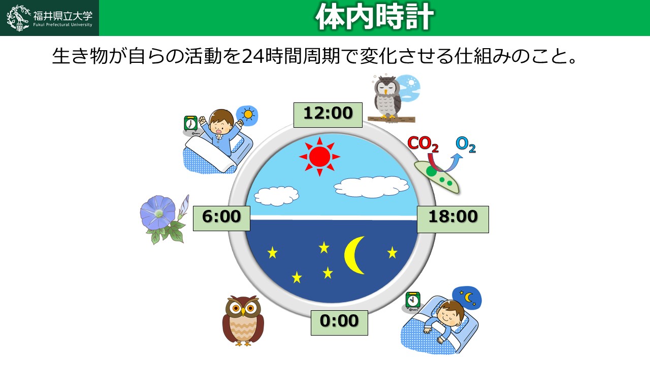 福井県立大学 取材用スライド