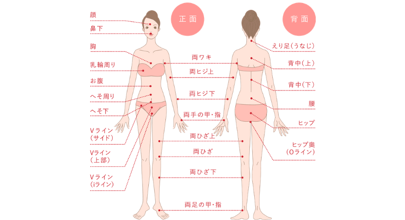 銀座カラーの脱毛範囲